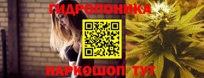 скорость Краснознаменск
