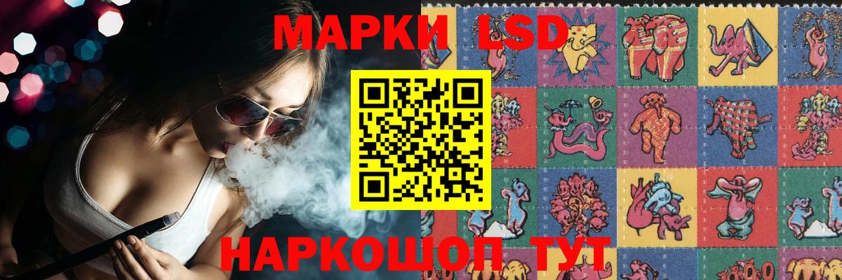 ЛСД экстази ecstasy  Вход с VPN  Камышлов 