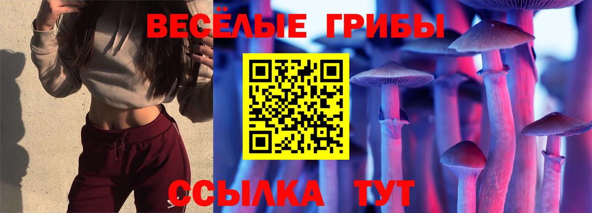 Псилоцибиновые грибы MAGIC MUSHROOMS  Вход с VPN  Камышлов 